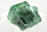 Green Cubic Fluorite Crystals with Phantoms - Yaogangxian Mine #215778-1